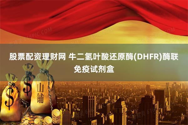 股票配资理财网 牛二氢叶酸还原酶(DHFR)酶联免疫试剂盒