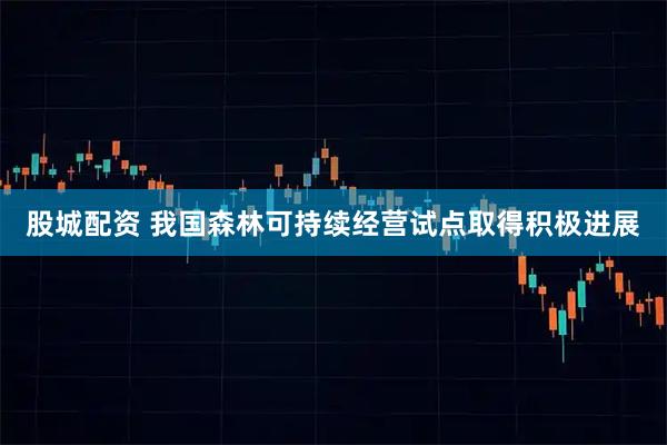 股城配资 我国森林可持续经营试点取得积极进展
