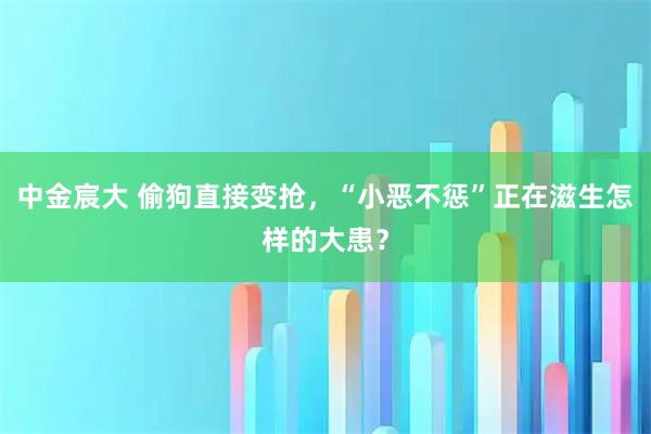 中金宸大 偷狗直接变抢，“小恶不惩”正在滋生怎样的大患？