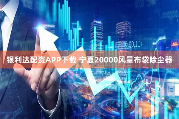 银利达配资APP下载 宁夏20000风量布袋除尘器